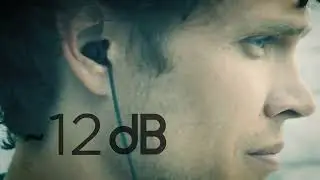 The New dBud is here!