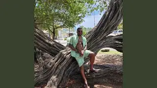 Sir Finessher