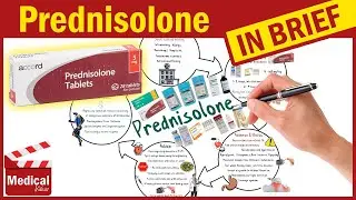 Преднизолон 5 мг (Орапред): для чего используется преднизолон? Применение, дозировка и побочные э...