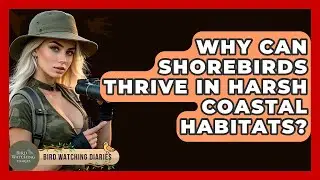 Why Can Shorebirds Thrive In Harsh Coastal Habitats? - Bird Watching Diaries