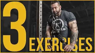 3 Arm Exercises You NEED To Be Doing!