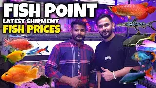 Fish Point Latest Imported Fish Shipment | Full Price Update - Imran's World