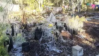 We had a cold night 😭