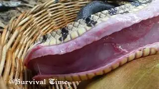 Cooking Yummy Wild Snake Soup In The Forest For Food
