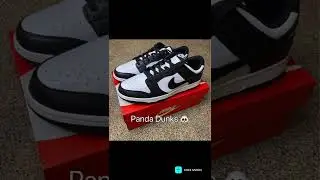 The most overrated shoe🐼