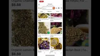 Sip wellness with loose leaf tea & herbs
