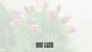 sinamatik video : Edit mahi 😊