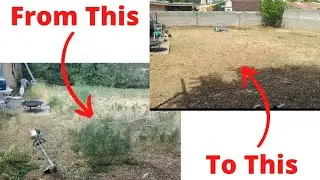 Time Lapse Full Yard Cleanup Start to Finish