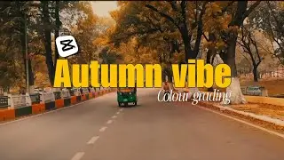Autumn vibe colour grading | Using capcut filters