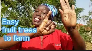 6 Easy Fruit Trees you can Farm even in Semi Arid Areas @irotruthchristine-edenrockfarm