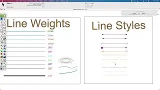 Export PDF