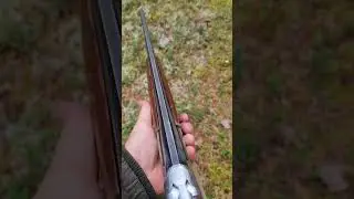 Shotgun 20 gauge/Ружьё 20 калибра #shorts #shotgun #hunting #hunt #cz #cartridge #gun #weapon #20cal