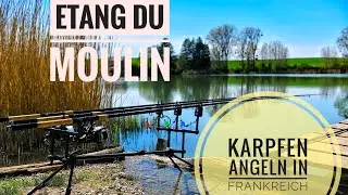 Karpfen Angeln am Etang du Moulin ( Frankreich). karpfenangeln am See . #angeln #karpfen #see