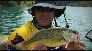 II BATALLA BLACK BASS DIZZY DUCK!! celebrada en el Embalse de Benageber. Gracias PescaCosmos