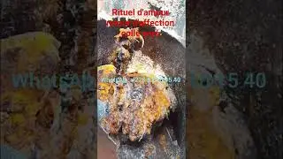 coll&eacute; ser&eacute; de mon &acirc;me s&oelig;ur #news