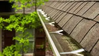 Clogged and Damaged Gutters
