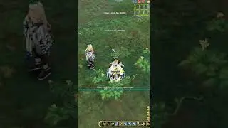 Insanity FLYFF ViKay ForceMaster Siege #games #gaming #mmorpg #flyff #insanityflyff