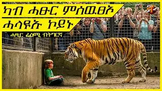 ኣብ ጫካ ዝረኸብዎ ነብሪ ምሰድሓኑ ካብ ኩሎም ፀላእቶም ይሕልዮም