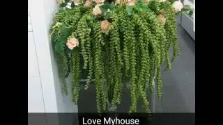 Love Myhouse Bankstown