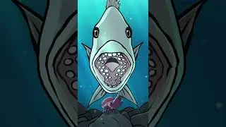 Sheepshead 🦷🐟 #animation #original #cartoon