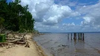 Flanners Beach and Trails 2013