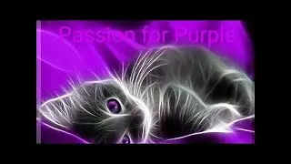 PASSION FOR PURPLE COLLAB - Finished Jewelry Using April 2021 Bargain Bead Box