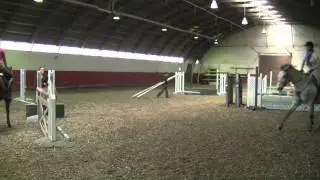 Stuff Show Jumpers Say!