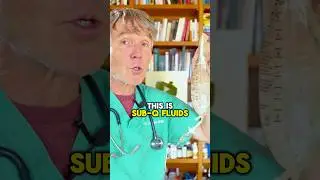 #subqfluid #cats  #cat #petwellness #homevetcare #dehydrationrelief #pethealth
