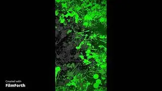 bouwey intro