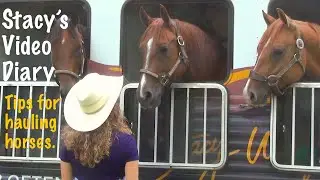 Trailering is hard for the horse, do you have tips for keeping your horse sane?