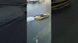 Sleek MTI-Style High-Performance Boat on the Nerang River This Morning 🚤🌅 | #goldcoast