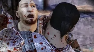 Dragon Age Origins: Вступительная сцена