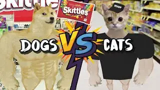 Skittles MEME: Doge VS El Gato Cat