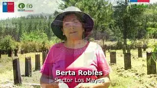 Transferencia Flora Mel&iacute;fera II - Apicultora Berta Robles, sector Los Mayos