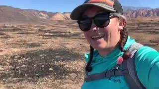 Turkey Farm Fire tortoise surveys