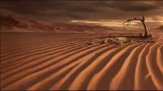 {Oasis} Low Poly Type Beat