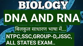NUCELIC ACID ,DNA AND RNA