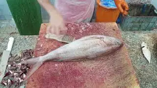Weighted Ruby Fish Cutting Skills|| Asian Ruby Fish Marketing with Amazing Filleting Skills