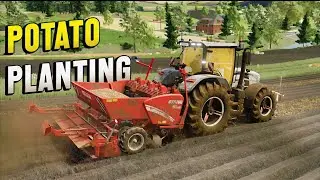 Potato Planting With Grimme GL 420 & MF 8S | Farming Simulator 22