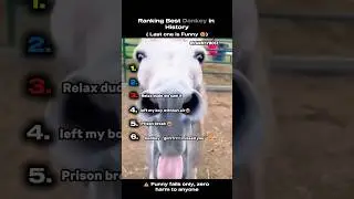 Ranking Best Donkey in History