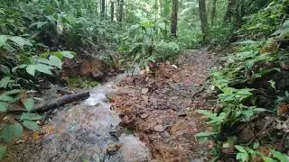 Sentier de Lamirande 1