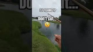 DON'T Cut your fly line, DO This! #flyfishing #fishing #tips