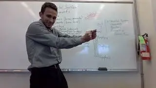 Skeletal System Overview (6.2)