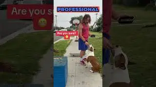 Basketball Dog Helps Scared Kid Love Dogs