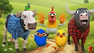 El pollito y el Tractor de la Granja - el Toro yTractor -Escapando del Toro y del Pollito