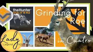 Grinding for Roe Deer in Cuatro! - Hunter: Call of the Wild