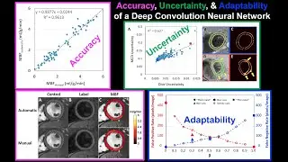Deep CNN model for automatic segmentation ASL data: Accuracy, Uncertainty, and Adaptability