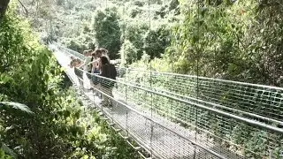 South Shore Canopy Zip Line, Roatan