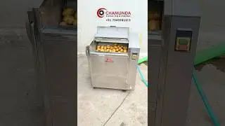 Potato peeler machine | Onion peeler machine | Ginger peeler | Turmeric washing