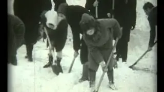 Сугробы в Харькове 1970 год